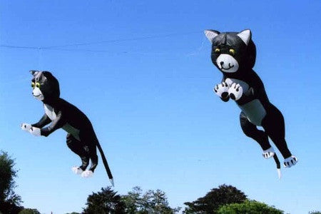 3D Animal Kites